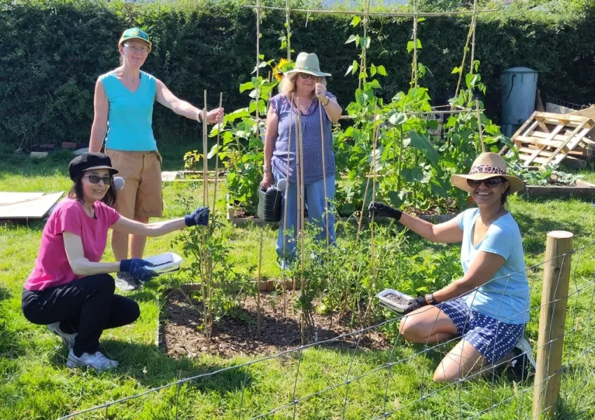 four people in a food growing garden