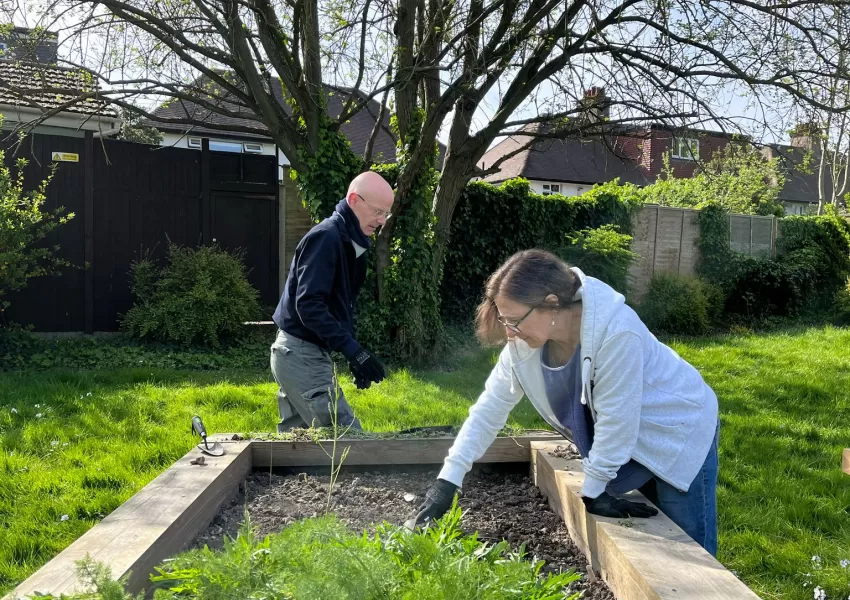 two people gardening in a raised bed outdoors 