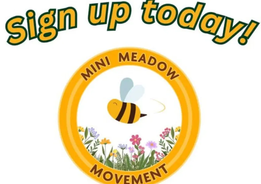 Text states: Mini Meadow Movement - Sign up today
