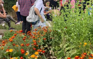 people in a garden with flowers