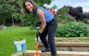 Someone with a spade, digging some soil, at one of the food-growing locations in Barnet.